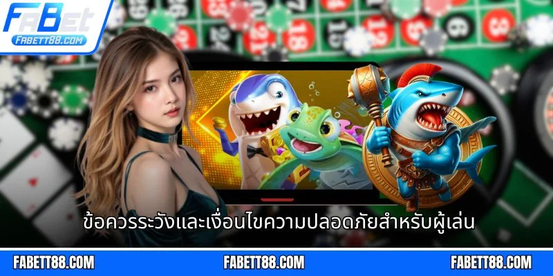 ข้อควรระวังและเงื่อนไขความปลอดภัยสำหรับผู้เล่น